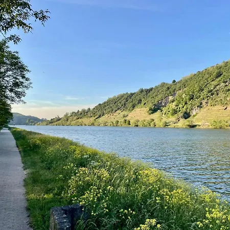 Ufergeheimnis Am Guelser Moselbogen I 2 Sz I 5 Gaeste I Badebucht I Grill I Garten Koblenz (Rhineland-Palatinate)