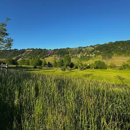 Ufergeheimnis Am Guelser Moselbogen I 2 Sz I 5 Gaeste I Badebucht I Grill I Garten * Koblenz (Rhineland-Palatinate)