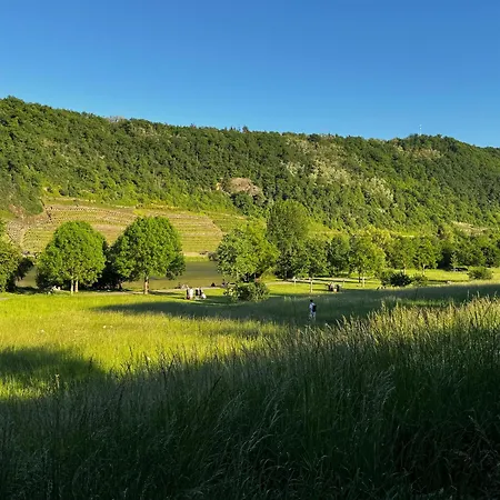 Lejlighed Ufergeheimnis Am Guelser Moselbogen I 2 Sz I 5 Gaeste I Badebucht I Grill I Garten *