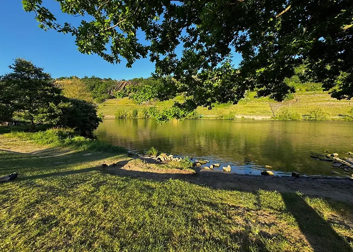Ufergeheimnis Am Gülser Moselbogen I 2 Sz I 5 Gäste I Badebucht I Grill I Garten