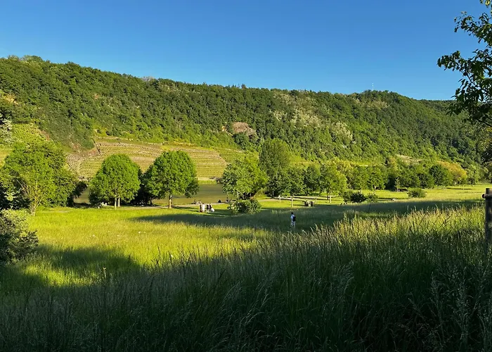 شقة Ufergeheimnis Am Guelser Moselbogen I 2 Sz I 5 Gaeste I Badebucht I Grill I Garten *